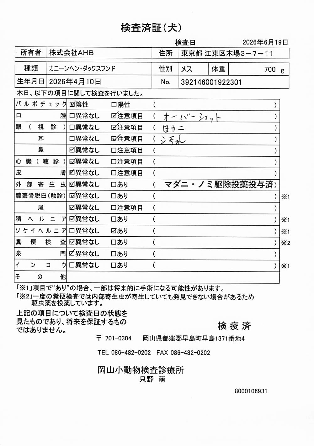 カニーンヘン・ダックスフンド