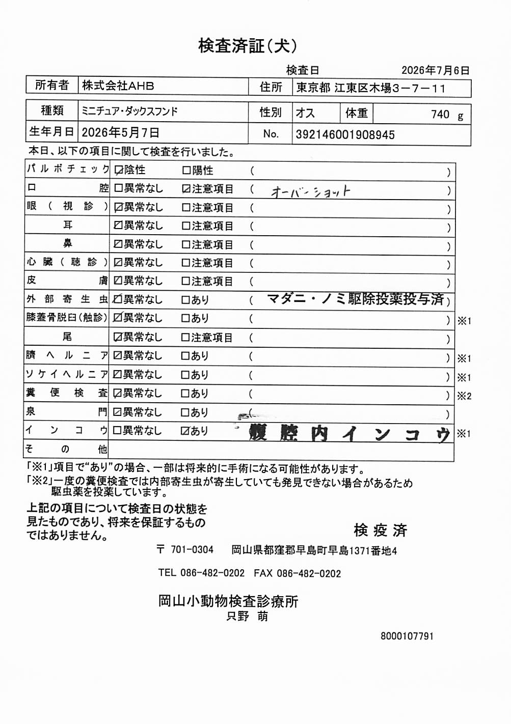 ミニチュア・ダックスフンド