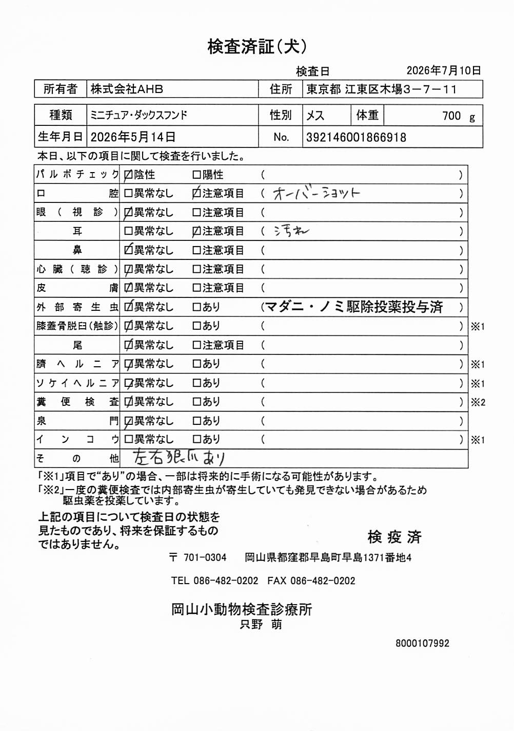 ミニチュア・ダックスフンド