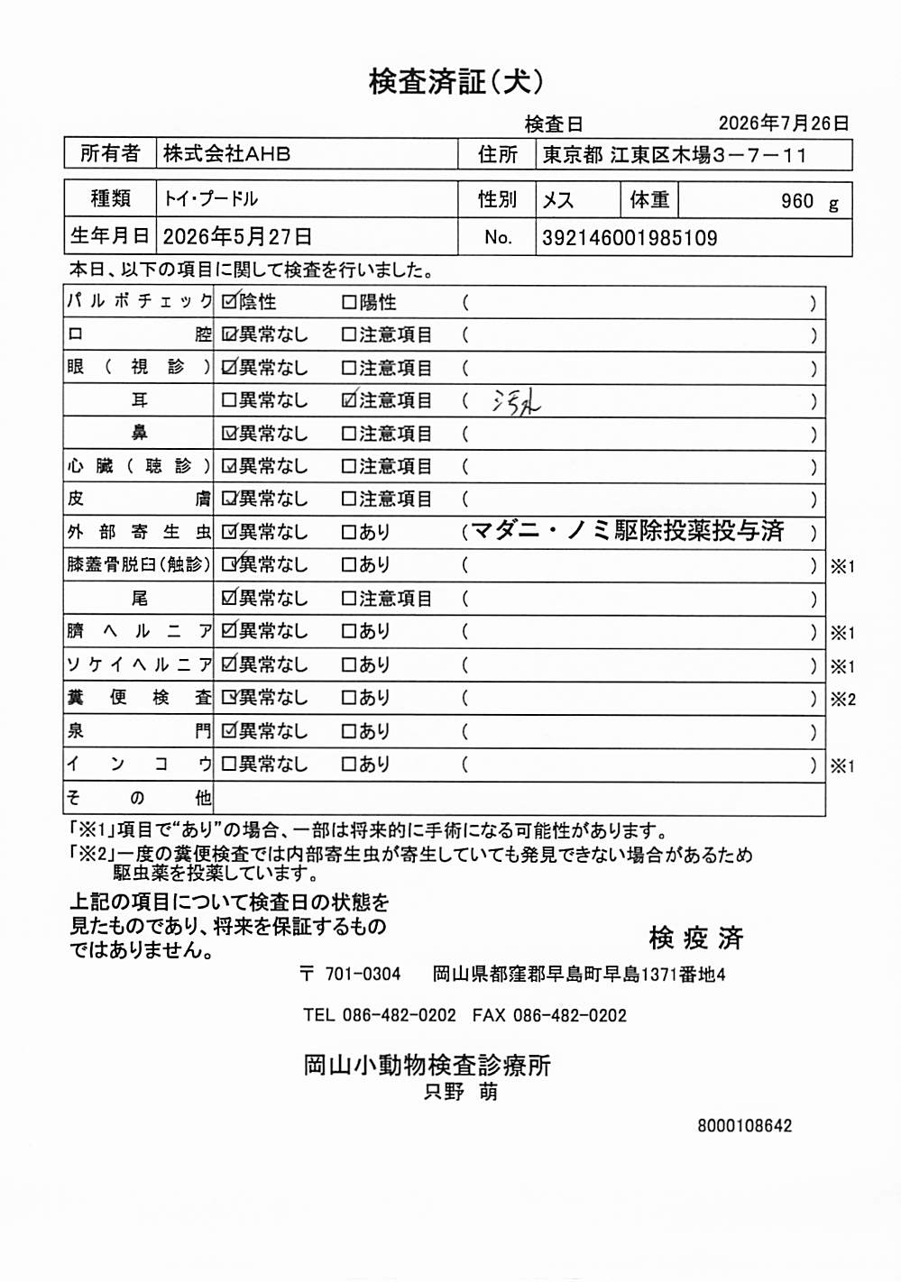 トイ・プードル