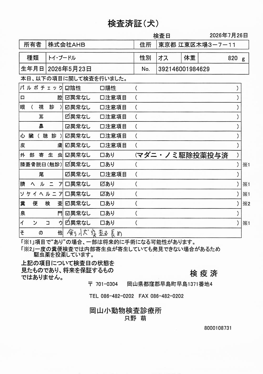 トイ・プードル