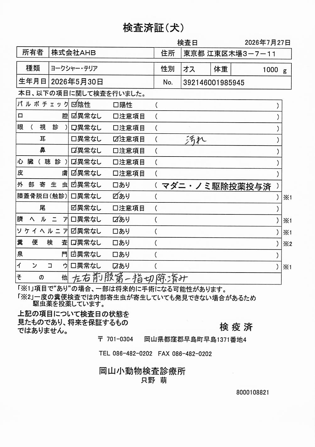 ヨークシャー・テリア