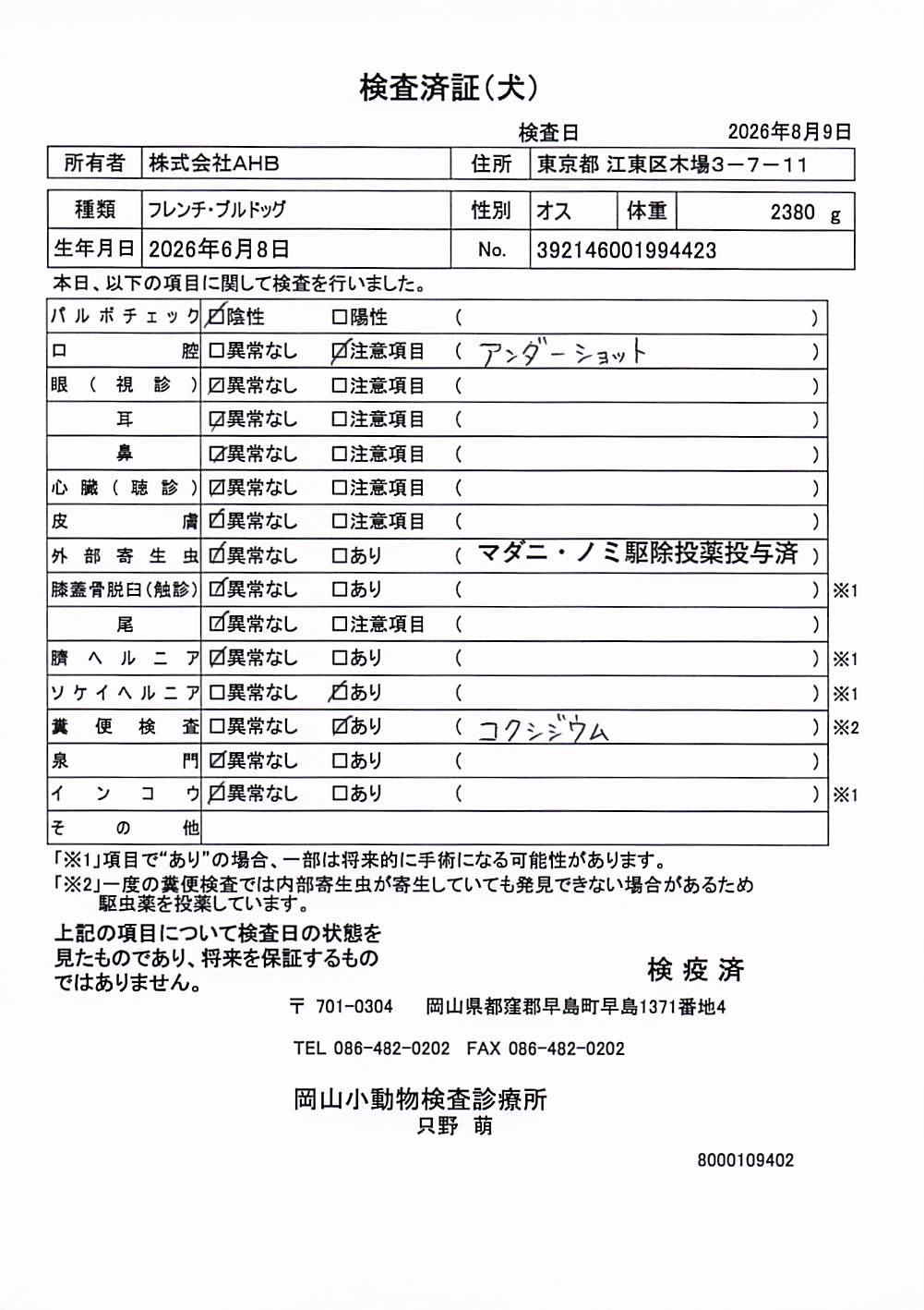 フレンチ・ブルドッグ