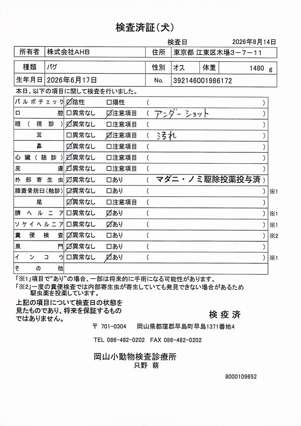 パグ