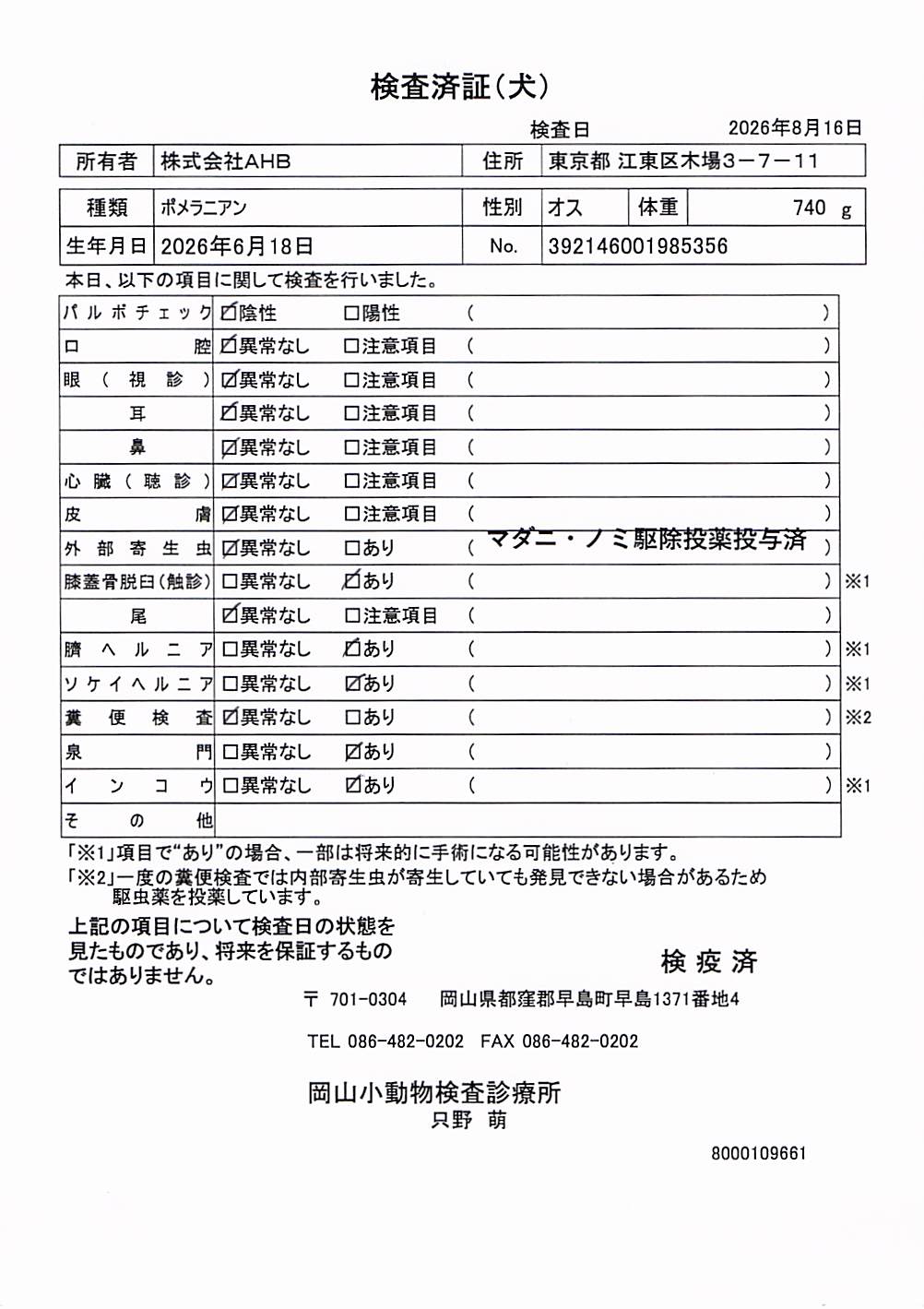 ポメラニアン