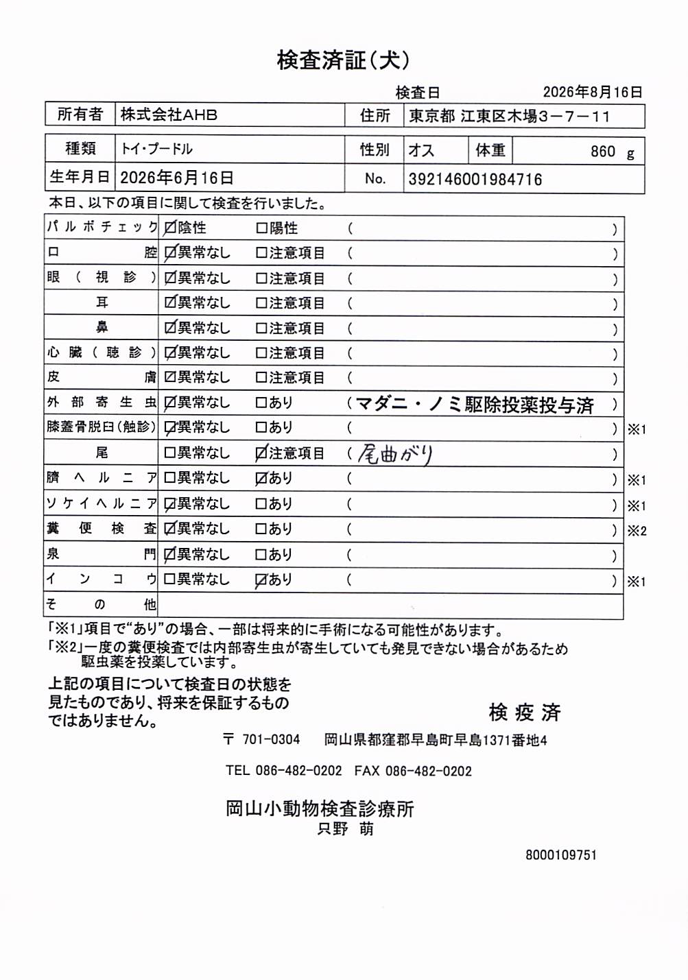 トイ・プードル