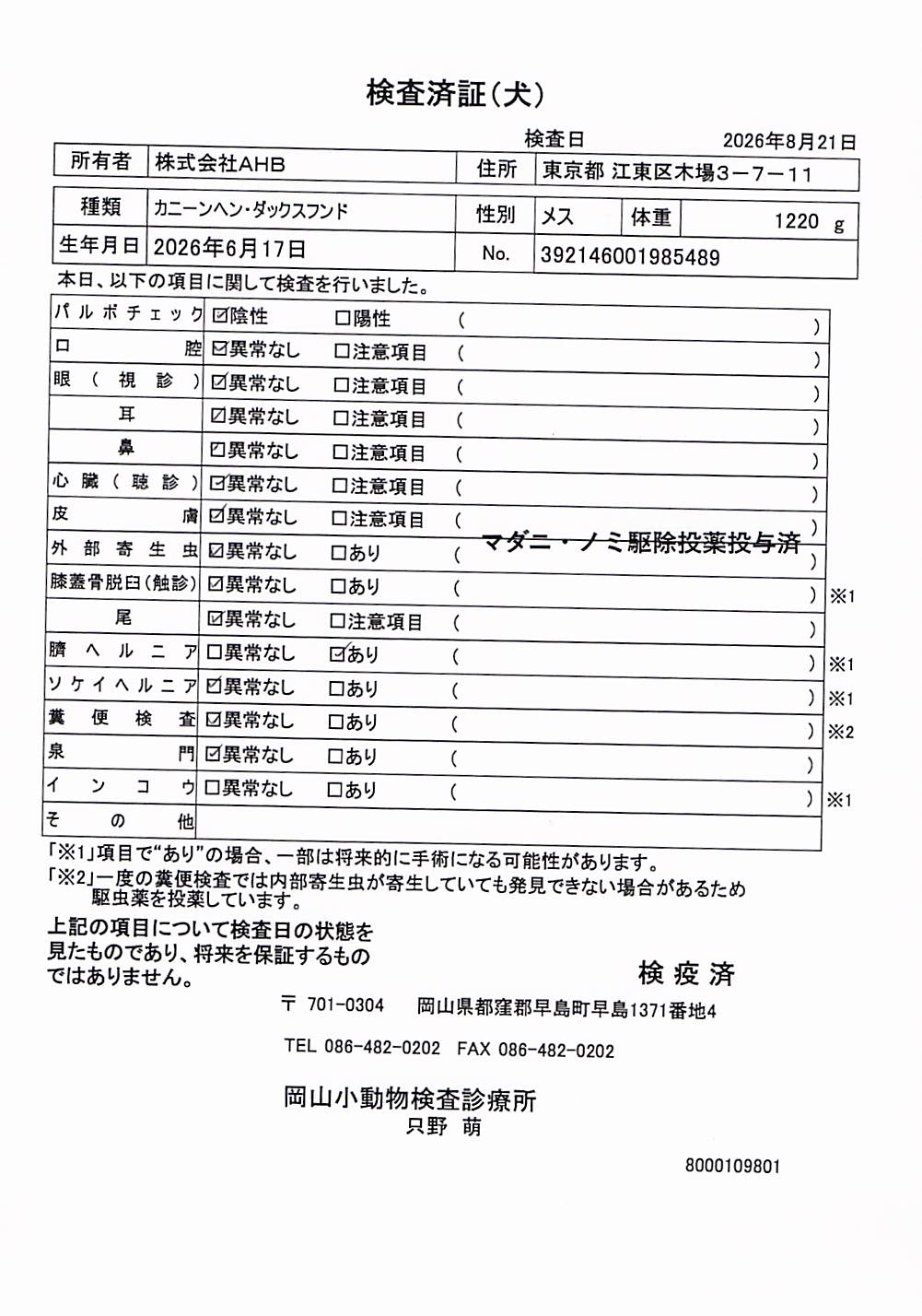 カニーンヘン・ダックスフンド