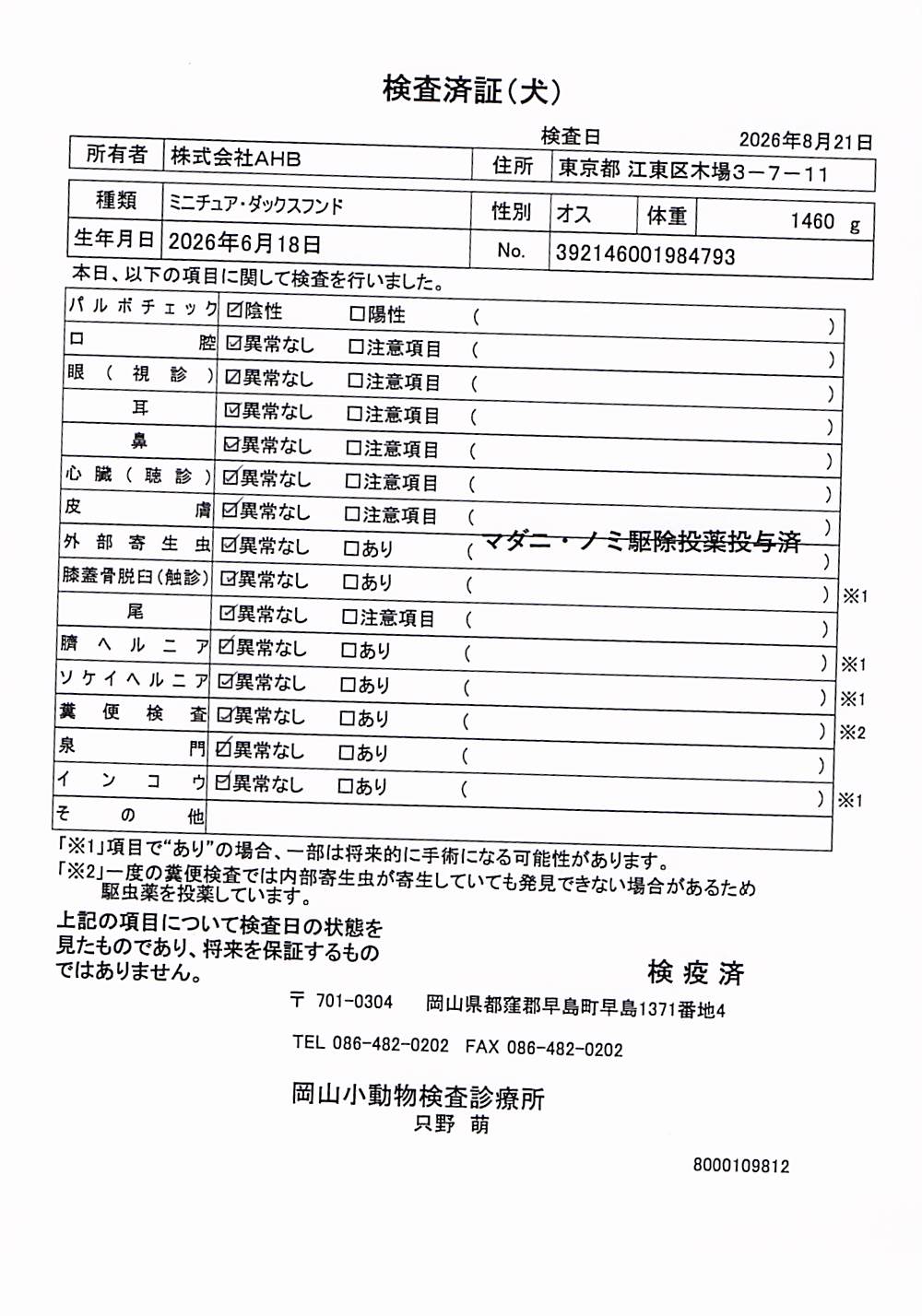 ミニチュア・ダックスフンド