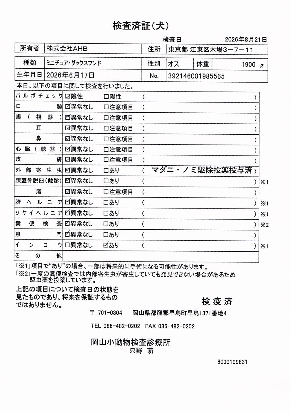 ミニチュア・ダックスフンド