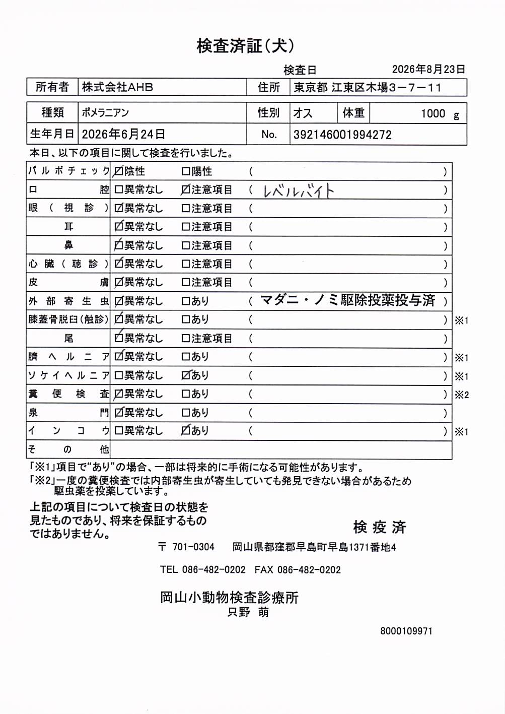 ポメラニアン