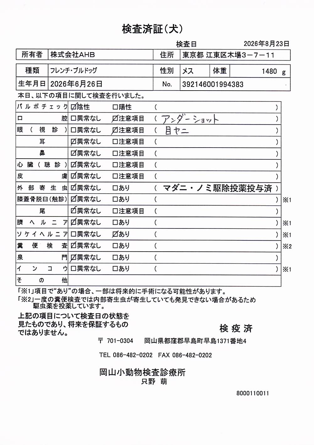 フレンチ・ブルドッグ