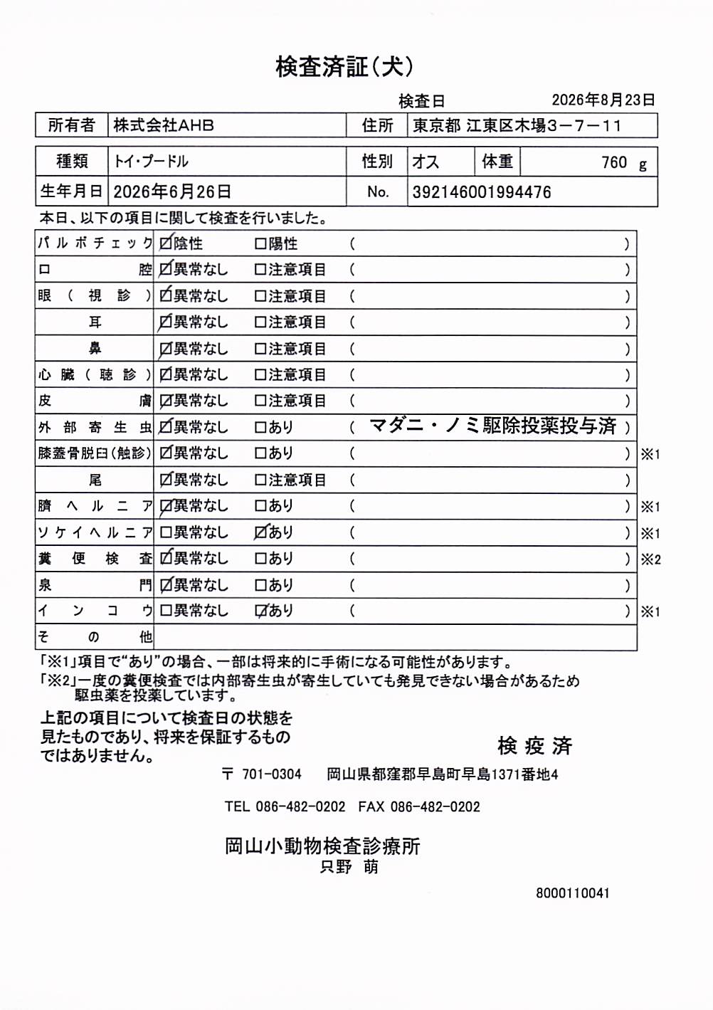 トイ・プードル