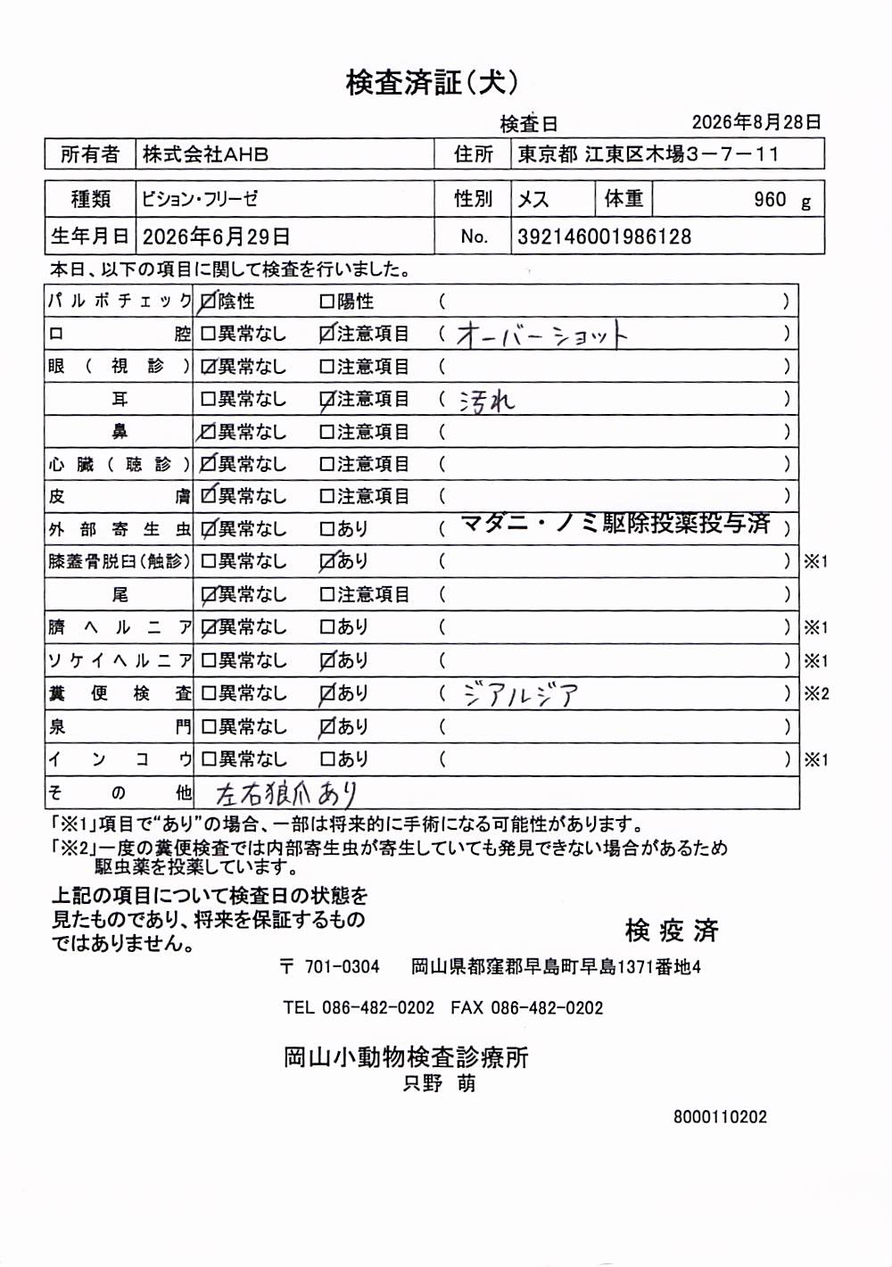 ビション・フリーゼ
