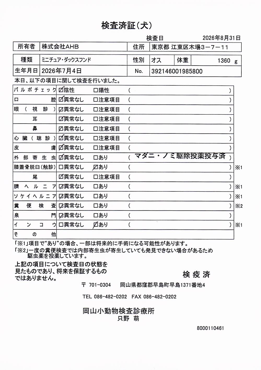 ミニチュア・ダックスフンド