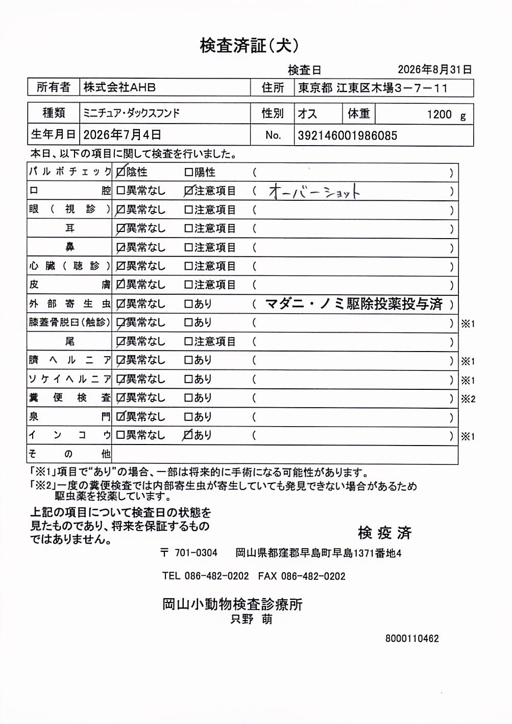 ミニチュア・ダックスフンド