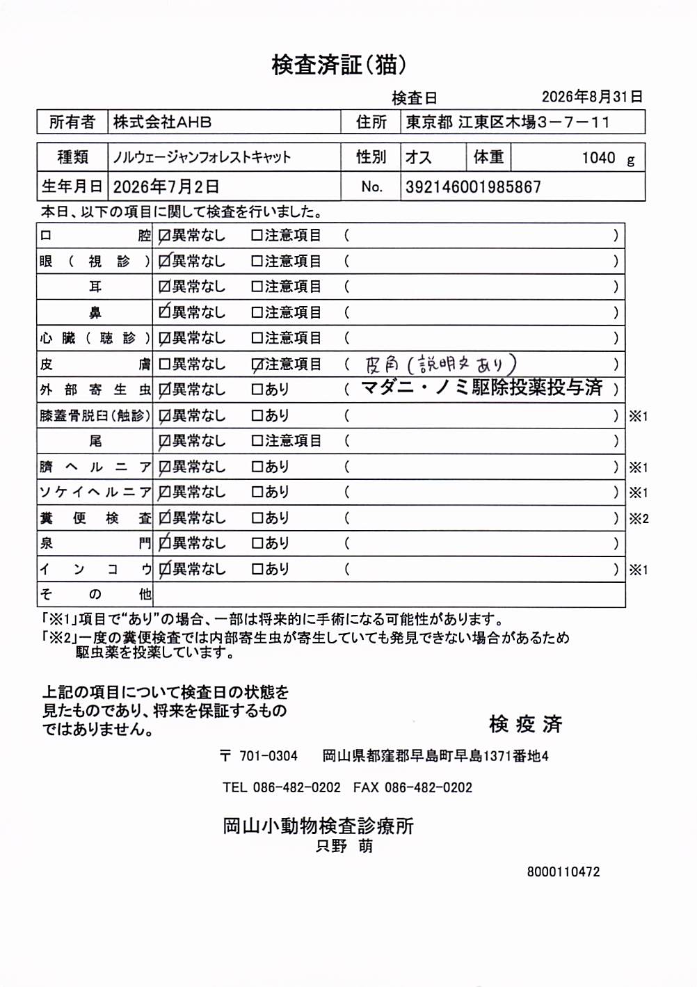 ノルウェージャンフォレストキャット