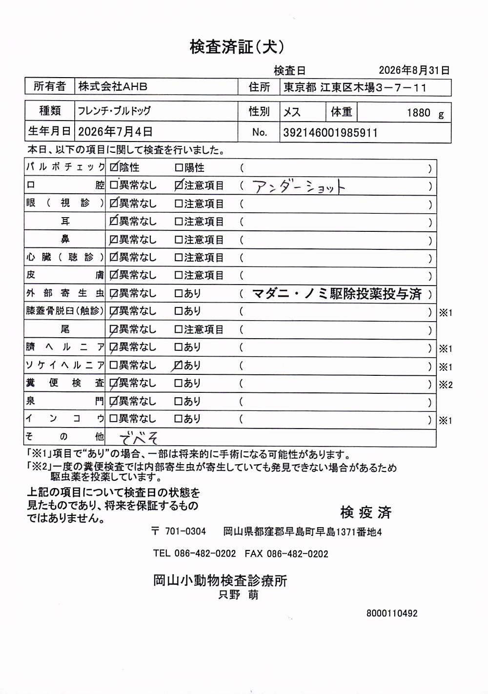 フレンチ・ブルドッグ