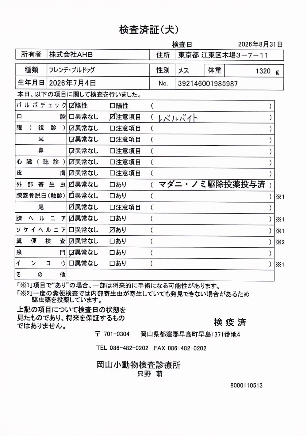 フレンチ・ブルドッグ