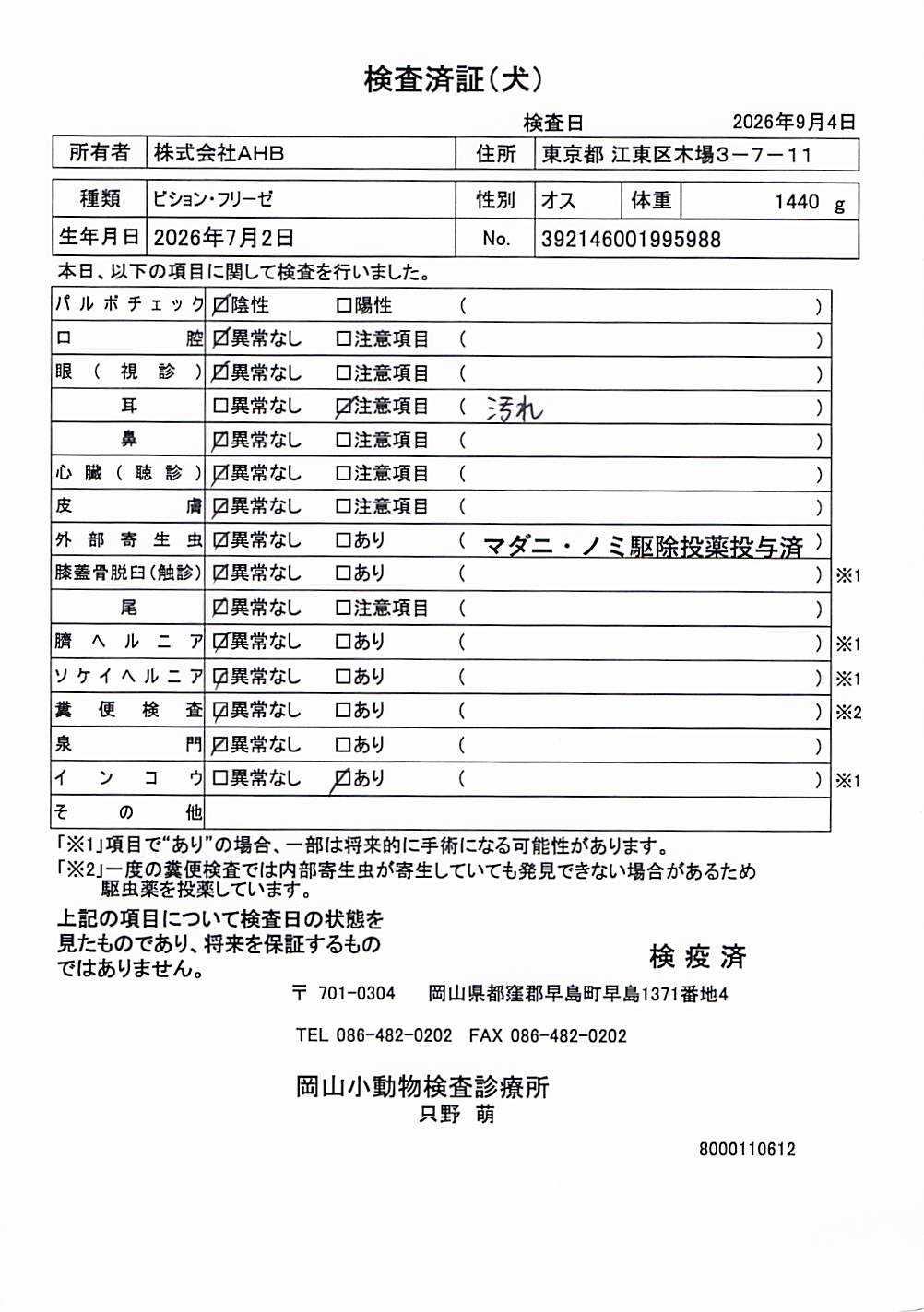 ビション・フリーゼ