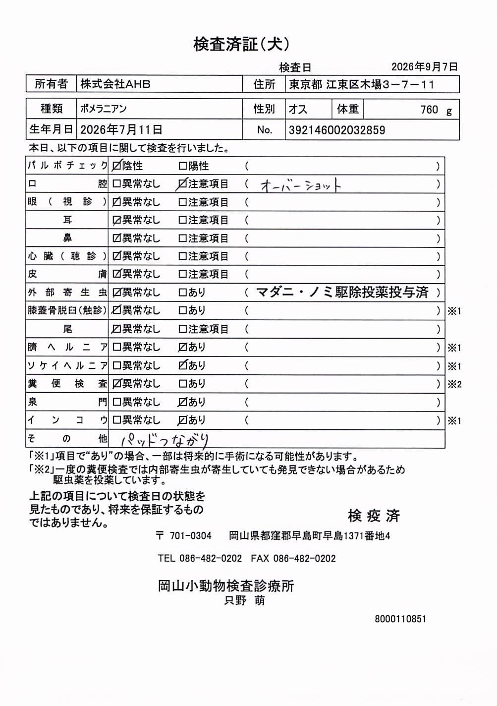 ポメラニアン
