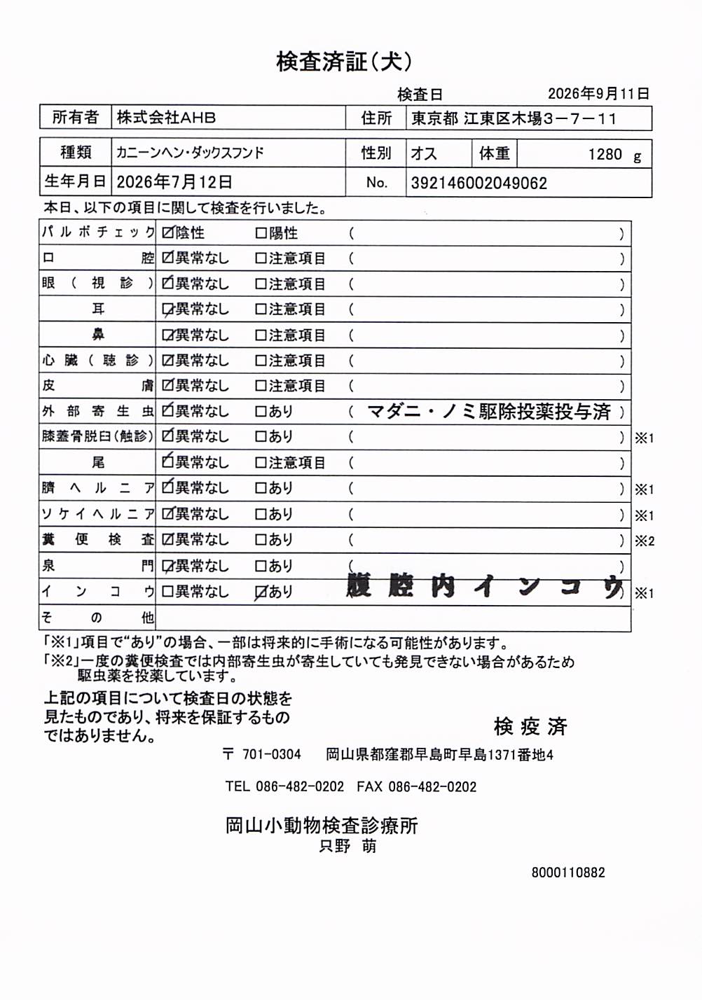 カニーンヘン・ダックスフンド