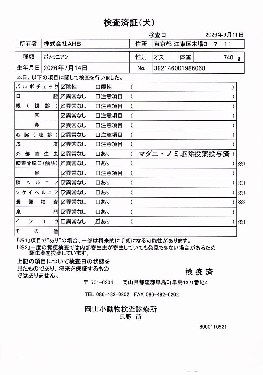 ポメラニアン