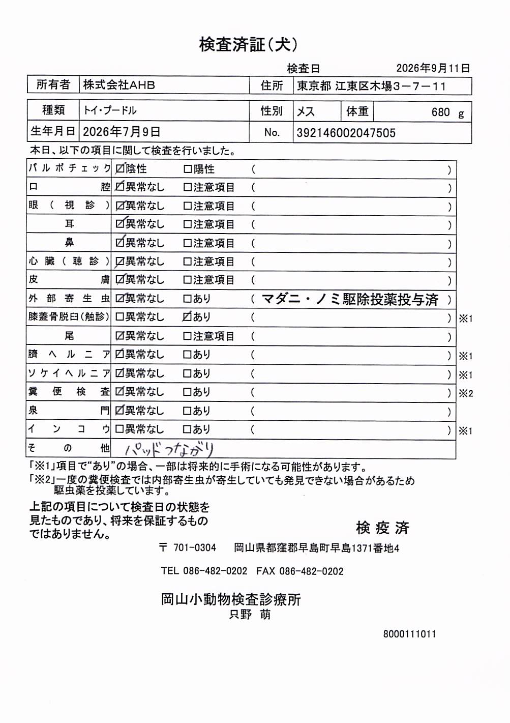 トイ・プードル