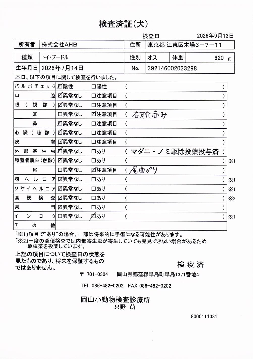 トイ・プードル