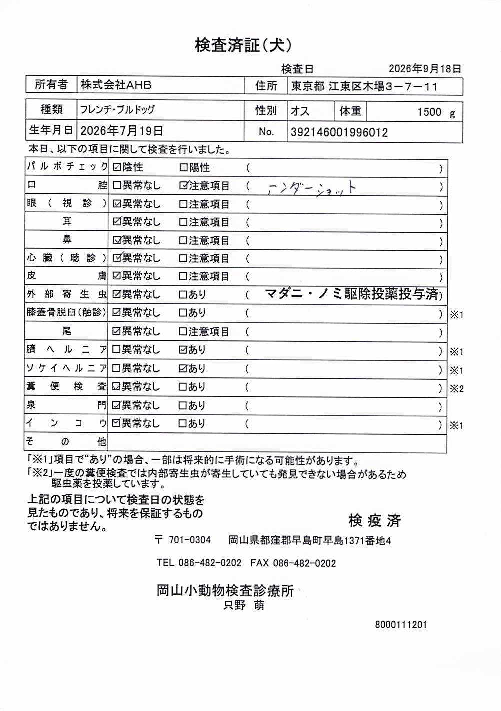 フレンチ・ブルドッグ