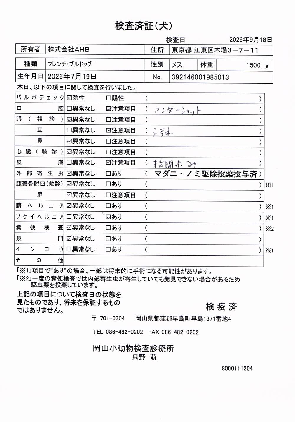 フレンチ・ブルドッグ
