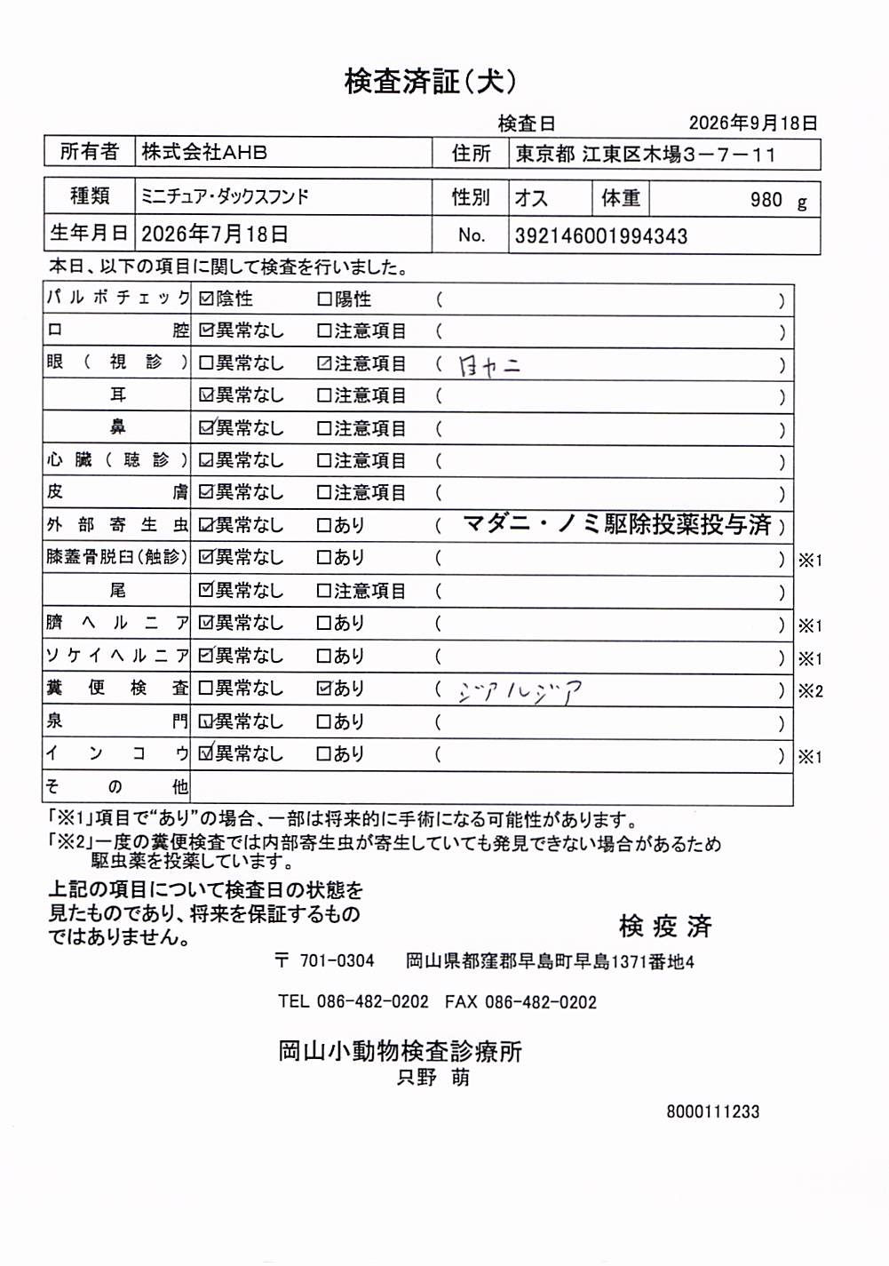 ミニチュア・ダックスフンド