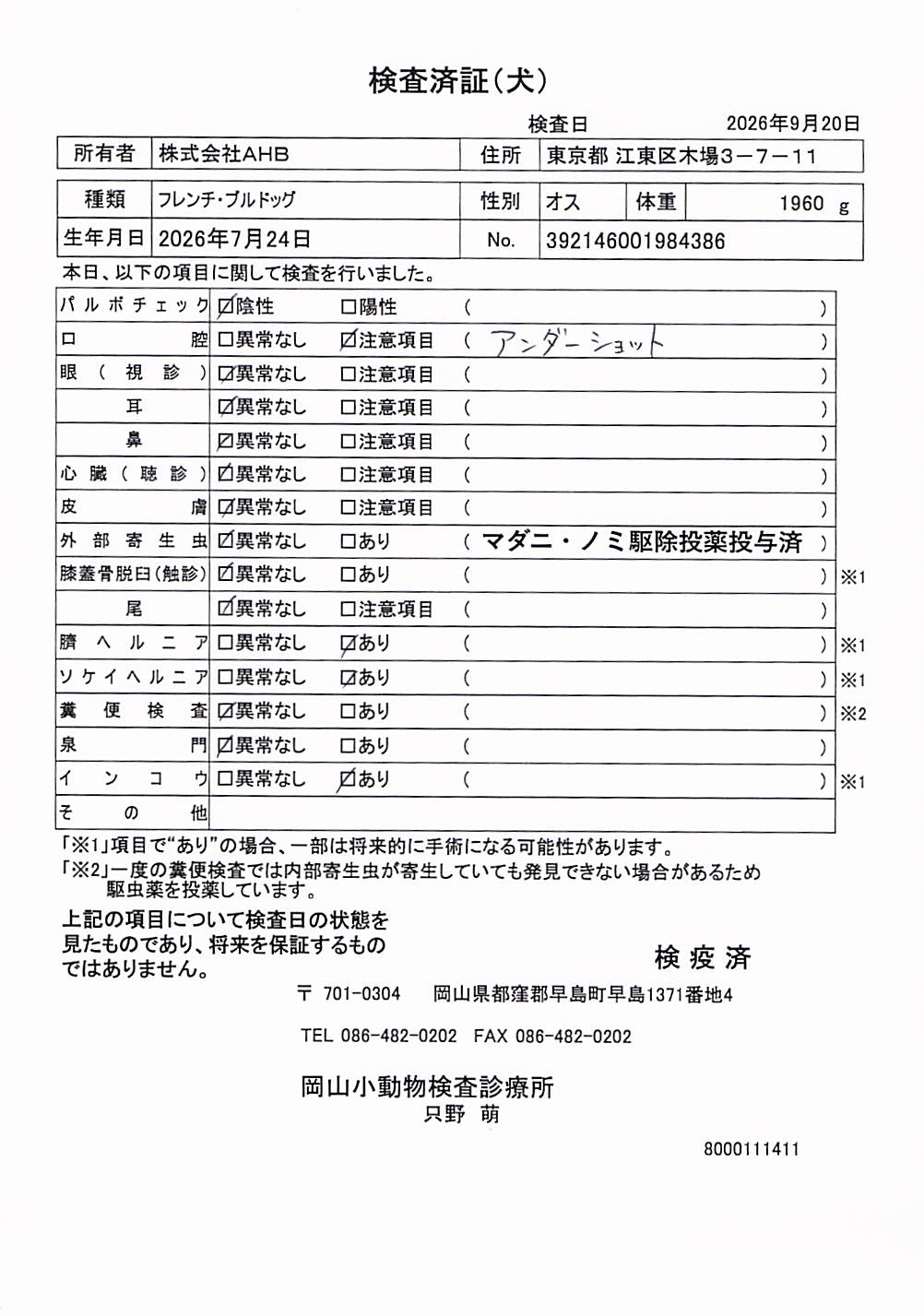 フレンチ・ブルドッグ