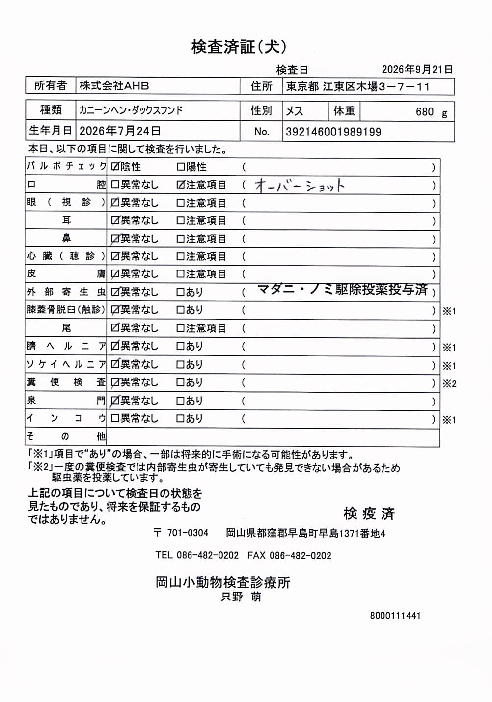 カニーンヘン・ダックスフンド