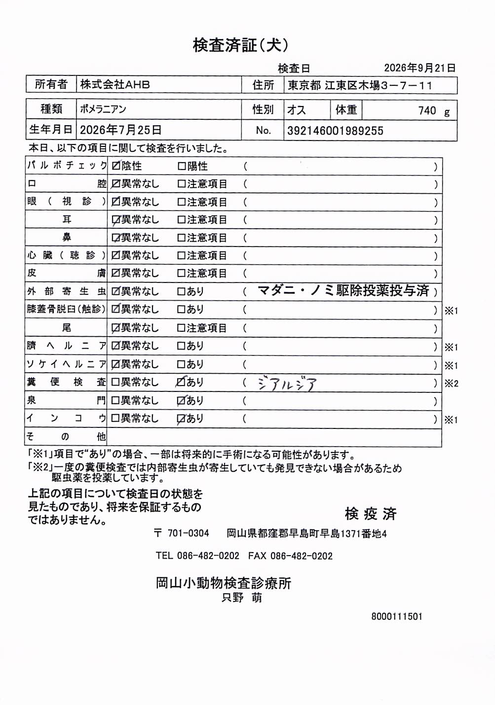 ポメラニアン