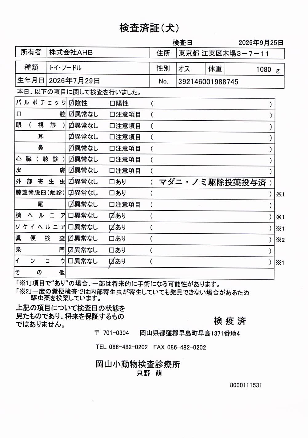トイ・プードル