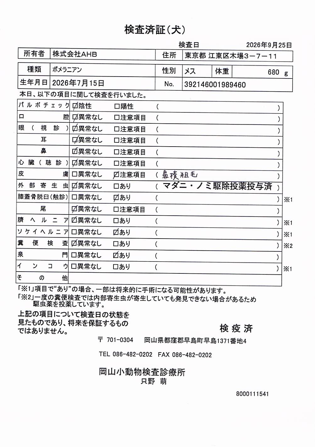 ポメラニアン