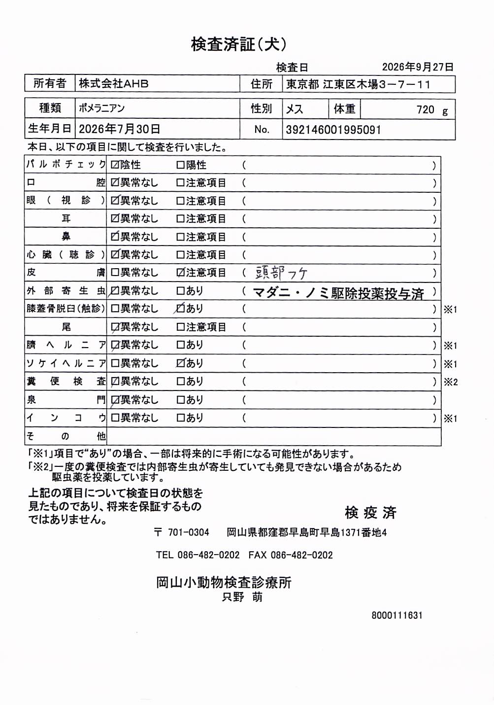 ポメラニアン