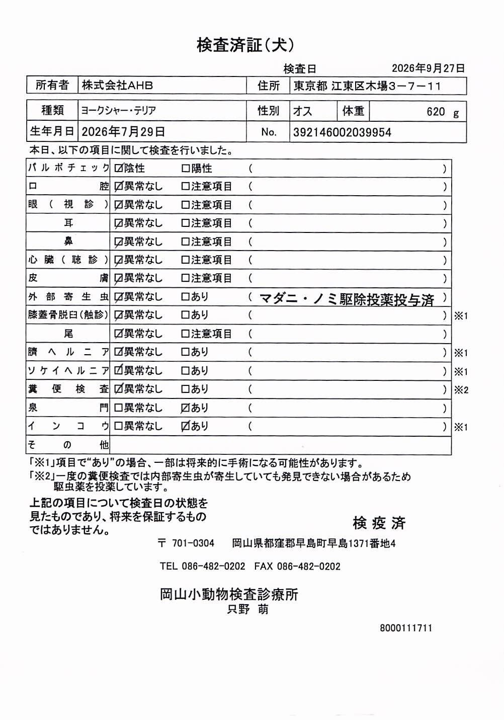 ヨークシャー・テリア