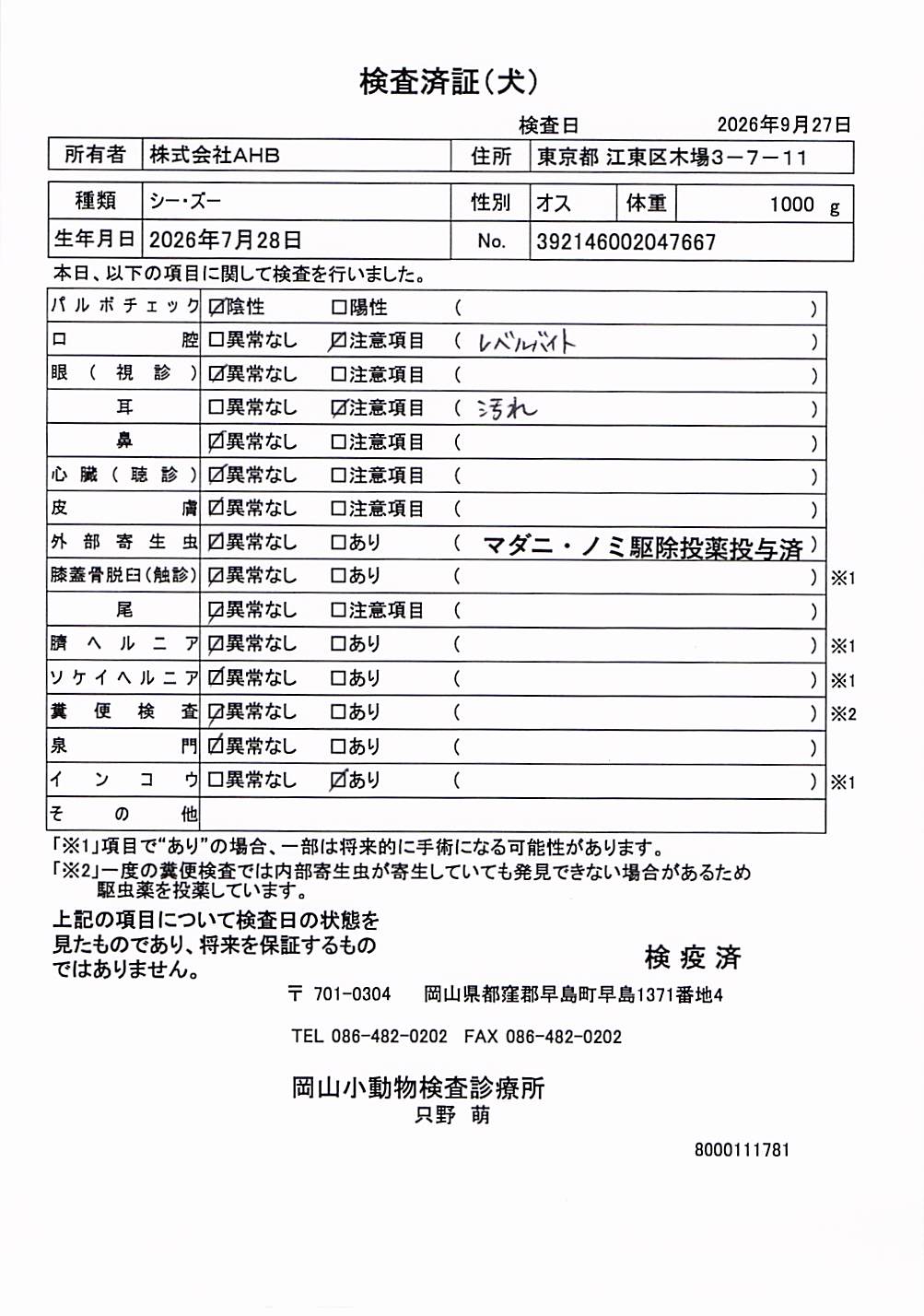 シー・ズー