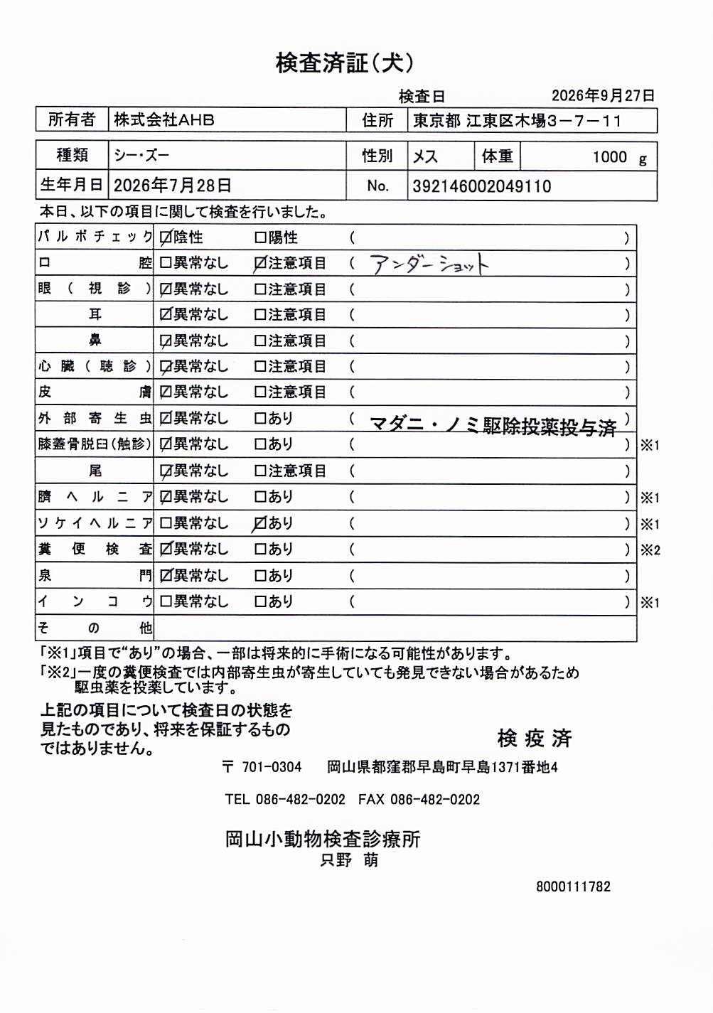 シー・ズー