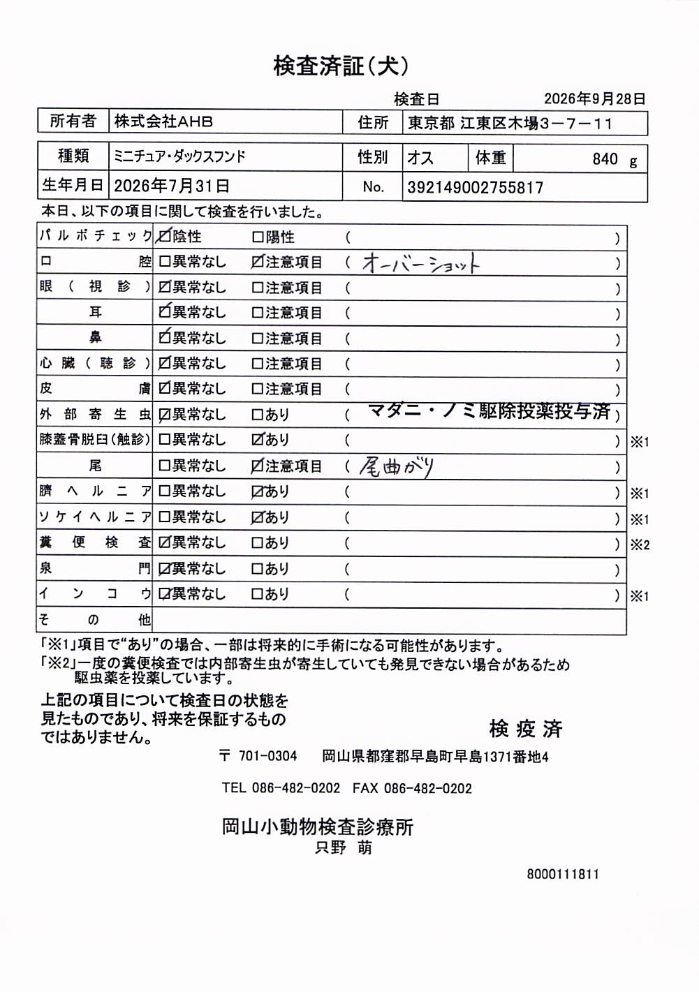 ミニチュア・ダックスフンド