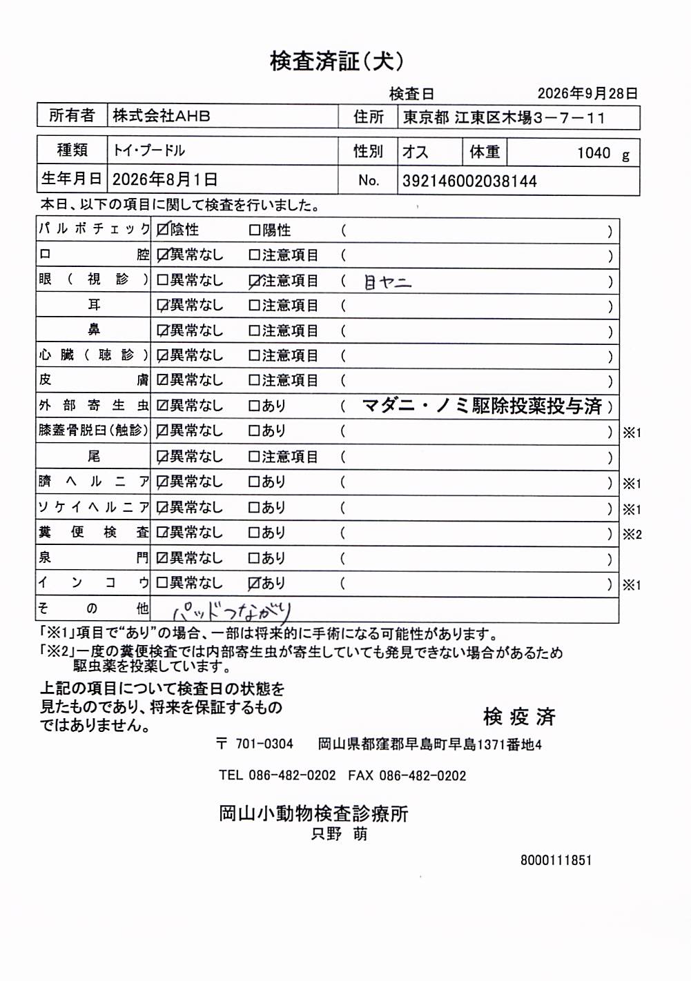 トイ・プードル