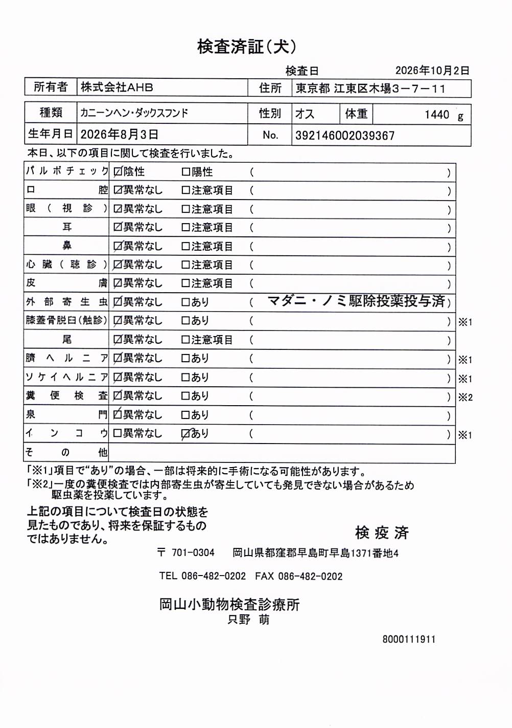 カニーンヘン・ダックスフンド