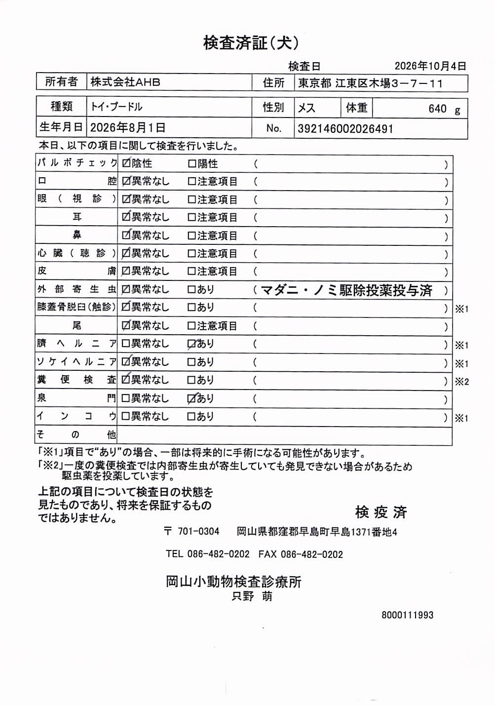 トイ・プードル