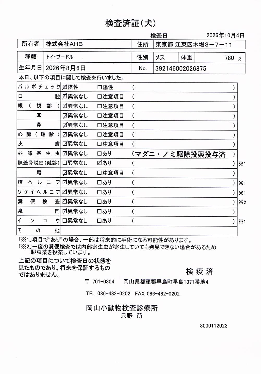 トイ・プードル