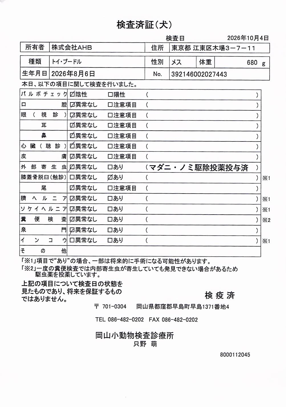 トイ・プードル