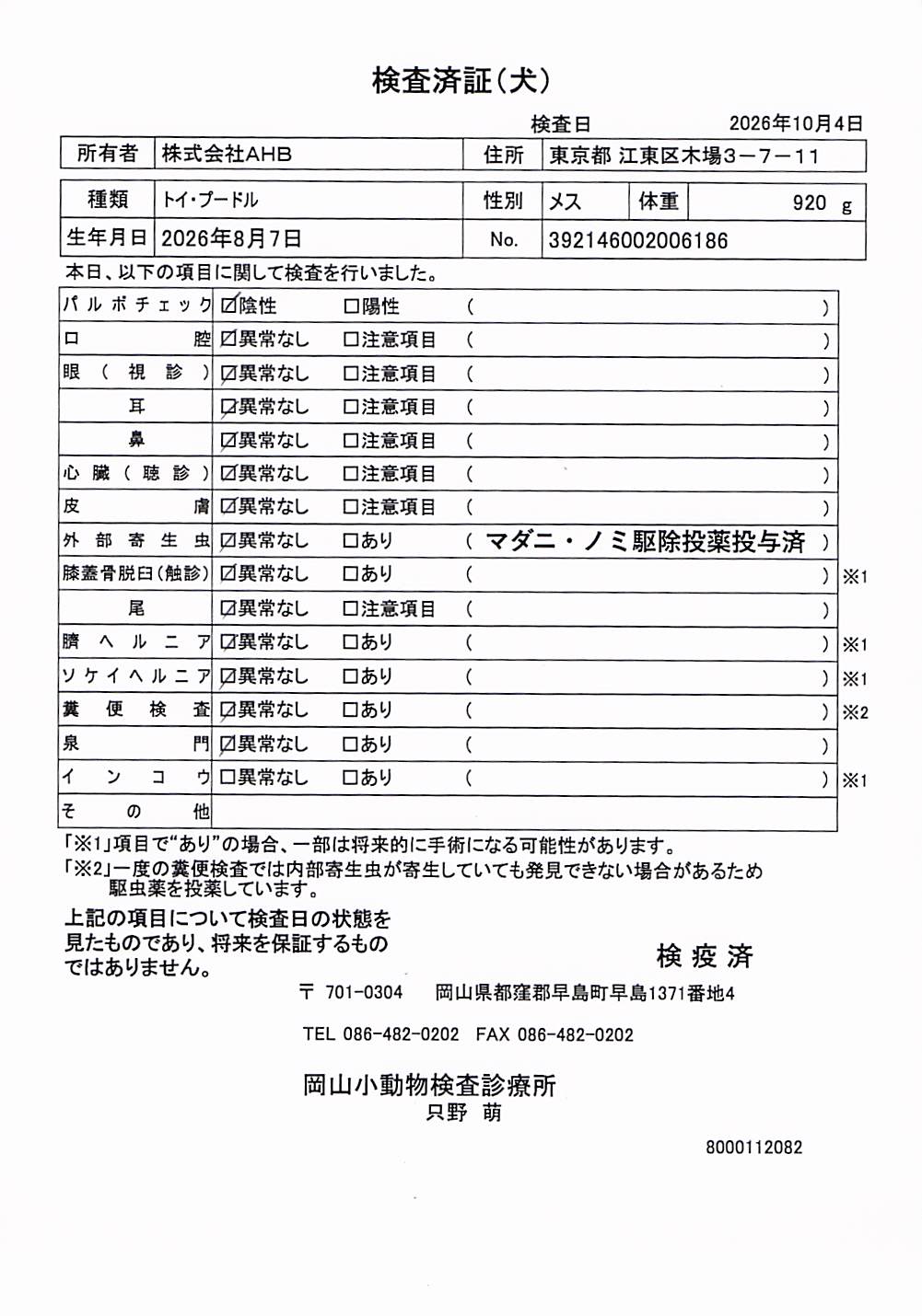 トイ・プードル