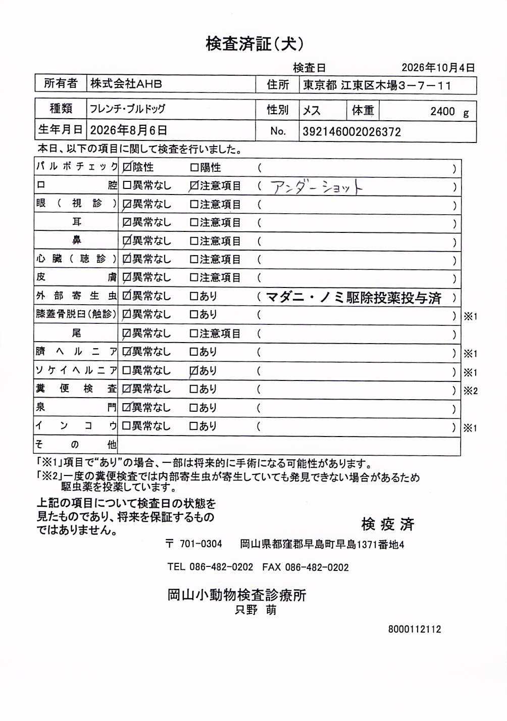 フレンチ・ブルドッグ
