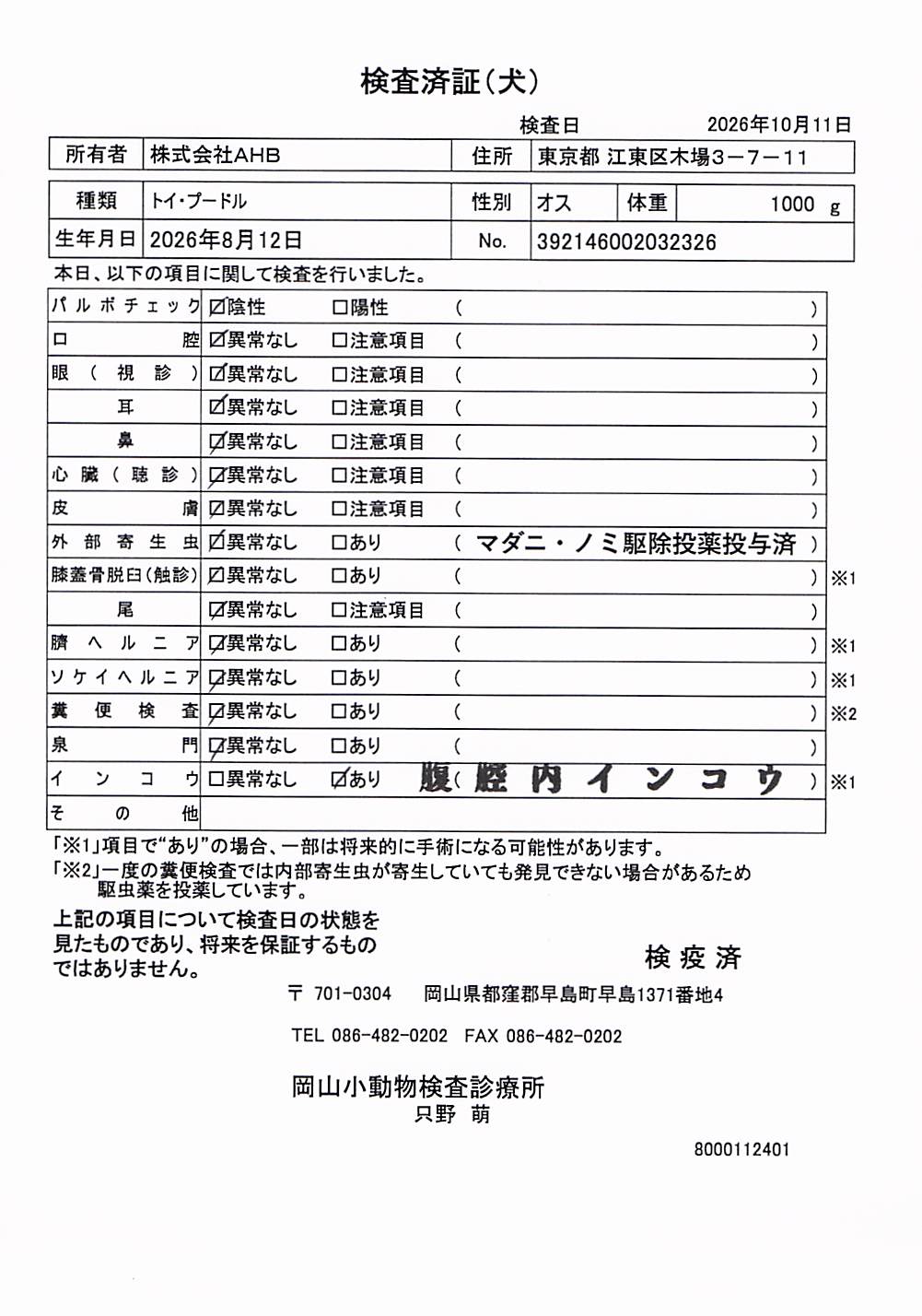 トイ・プードル