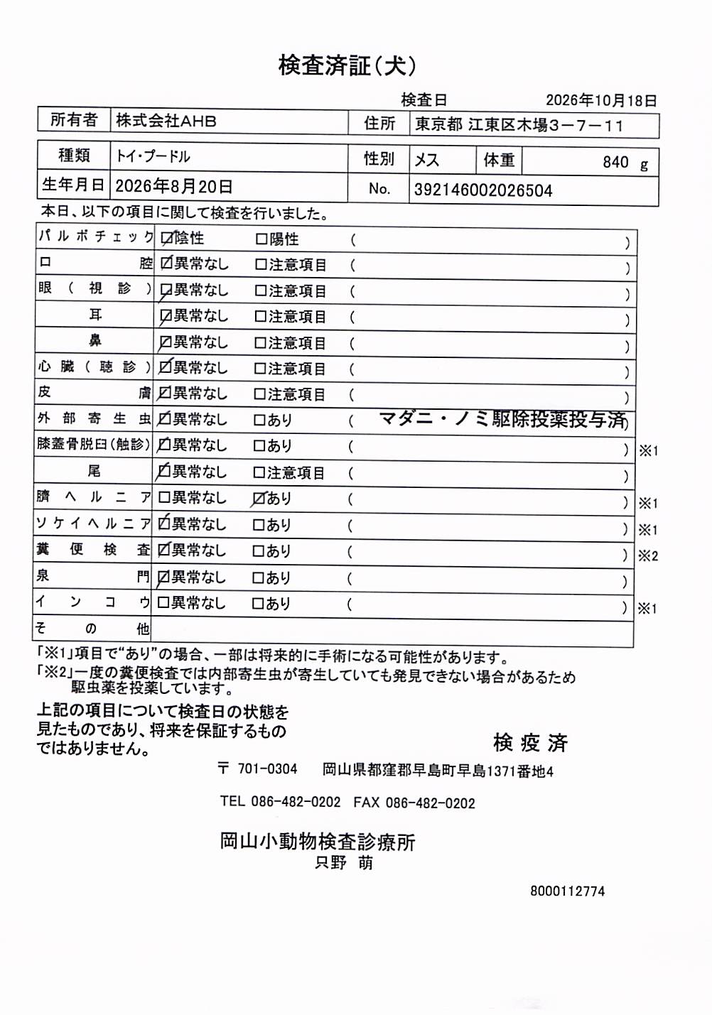 トイ・プードル